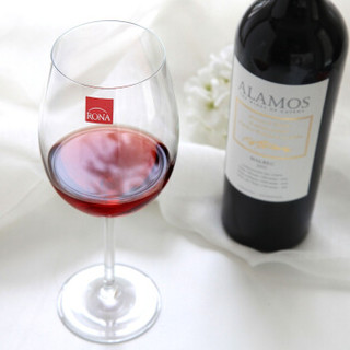 洛娜（RONA）波尔多红酒杯 2610 450（2只装）