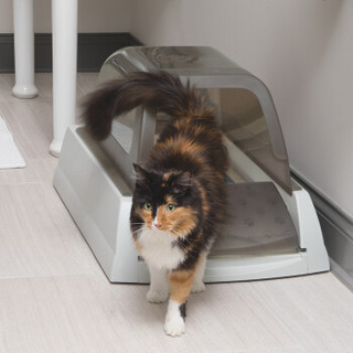 贝适安（PetSafe）ScoopFree豪华版自洁式猫砂盆 智能猫厕所 自动猫砂盆