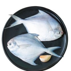渔港 冷冻渤海白鲳鱼 银鲳鱼 平鱼 500g 4条 袋装 野生海捕 自营海鲜水产