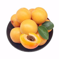 陕西大荔特产 新鲜优选一级大黄杏水果 现摘现发2.5kg