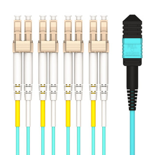 HAILE 海乐MPO-MT12-LC-25M 多模万兆OM3光纤跳线网线 40G模块用MPO光纤线 12芯MPO-LC 25米