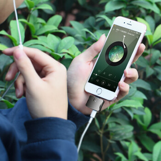 诺希（NOHON）苹果7耳机转接头 充电听歌二合一音频转换器3.5毫米+Lightning 适用苹果X/iphone7/8 锖色