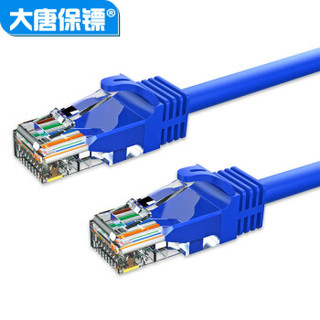 datangbg 大唐保镖 超五类网线 网络跳线 非屏蔽网络连接线1米 DT2808-501