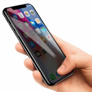 摩米士（MOMAX）苹果X/Xs防窥钢化膜 iPhoneX/Xs手机防窥玻璃膜 非全屏高清防爆防指纹贴膜