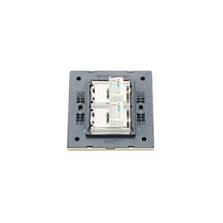 正泰（CHNT）NEW7-S20502二联八芯数据插座 墙壁插座 /个