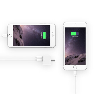 网易严选 网易智造 MFi认证 苹果数据线+充电器套装 2口USB快充充电器线 iPhone Xs Max/Xr/X/8Plus/7P/ipad