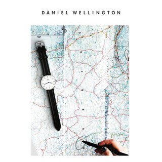 Daniel Wellington DanielWellington）DW表带14mm皮带玫瑰金针扣女款DW00200144（适用于32mm表盘系列）