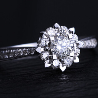 喜钻 显钻群镶克拉效果钻戒女求婚订婚结婚钻石戒指女铂金 共22分