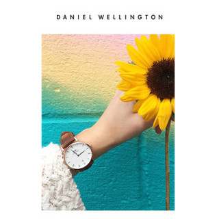 Daniel Wellington DanielWellington）DW表带17mm皮带银色针扣女款DW00200098（适用于34mm表盘系列）