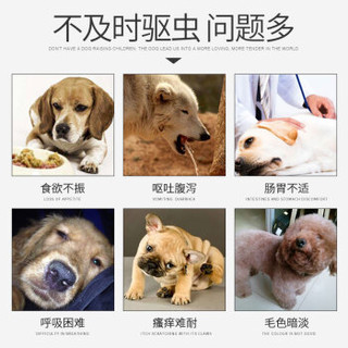 华畜 狗狗驱虫体内体外肠虫清宠物猫咪幼犬成犬用除虫片泰迪金毛打虫药