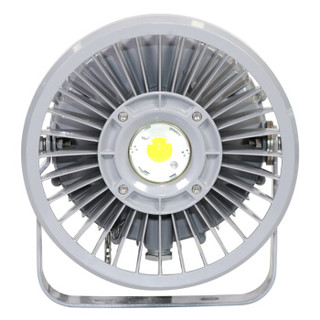 TORMIN/通明电器 LED投光灯 ZY9710-L200 200W