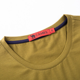 骆驼（CAMEL）男装 微弹圆领休闲条纹大众短袖T恤衫 男士 X6B201337 黄绿L
