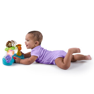 bright starts 宝宝启蒙早教益智玩具3M+男孩女孩儿童玩具礼物-声光小动物三件套KIIC11065