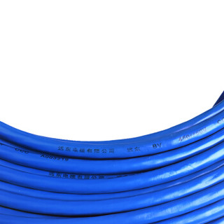 远东电缆（FAR EAST CABLE）电线电缆 BV1平方国标家装照明铜芯电线单芯单股硬线 100米 蓝色零线