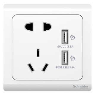 施耐德 Schneider 轻逸系列10A 250V二/三极带双USB3.1充电插座3.1 清雅白