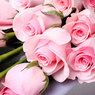 花千朵19朵粉色玫瑰花束礼盒鲜花速递同城送花520生日纪念日七夕情人节礼物送女生女朋友老婆