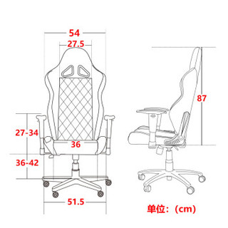 安德斯特andaseaT 电竞椅 LOL 游戏椅 手游椅 书房椅 办公椅 主宰王座黑白红