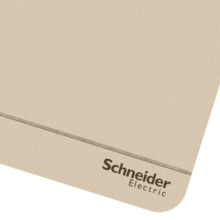 Schneider Electric 施耐德电气 AvatarOn绎尚系列 六类电脑插座 薄暮金