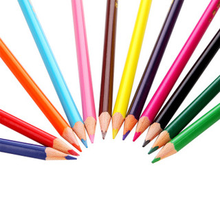 LYRA德国艺雅油性彩色铅笔12色彩铅笔涂色填色彩笔绘画笔纸盒套装L2521120
