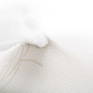 AUSTTBABY 婴儿床垫 泰国进口乳胶天然椰棕透气宝宝儿童床品 升级款7cm厚 120*65cm
