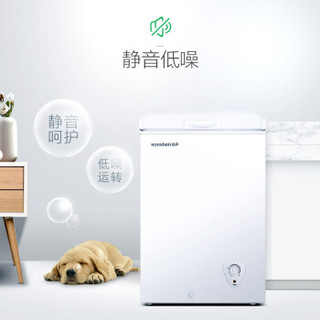 容声（Ronshen）100升 家用小冰柜 迷你冷藏冷冻转换冷柜 单温冰箱 BD/BC-100N