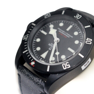 帝舵 （TUDOR）瑞士手表 启承碧湾系列M79230DK-0004