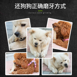 华畜 宠物狗狗磨牙棒幼犬 狗咬胶耐咬拉布拉多金毛泰迪零食中大型犬狗咬玩具6支装