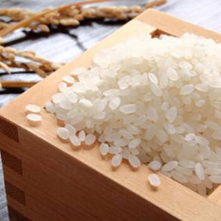 稻虾大米 懒稻 苏北大米微山湖生态圈 一年一季大米 5kg