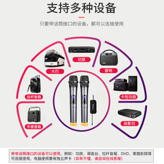 Shinco 新科 S2300升级版无线麦克风 一拖二无线话筒 家用KTV音响唱歌会议演讲舞台唱拉卡OK双手麦