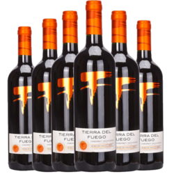 火地岛经典赤霞珠干红葡萄酒 智利原瓶进口红酒 750mlx6