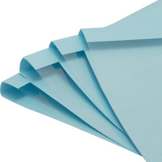 DSB 高透明热熔封套 A4 浅蓝 3mm背宽（装订30页）10个装 艺术纸封皮胶装封面