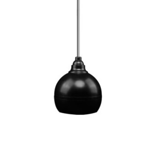 先科（SAST）D2  吊球音响悬挂式吊杆平面吸顶天花喇叭背景音乐音箱 （白色）
