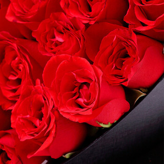 花千朵66朵红色玫瑰花桃心礼盒鲜花速递同城送花520生日纪念日七夕情人节礼物送女生女朋友老婆
