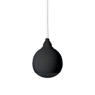 先科（SAST）D2  吊球音响悬挂式吊杆平面吸顶天花喇叭背景音乐音箱 （黑色）