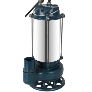臣源（CHENYUAN）WQD6.8-15-0.75 不锈钢污水泵 自动带浮球 农用排污泵 家用抽水泵农田灌溉