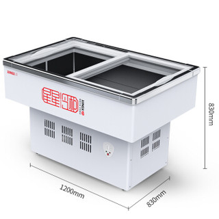 星星（XINGX） 118L 商用海鲜柜 展示岛柜 推拉玻璃门冰柜 冷藏冷冻柜 肉食保鲜冷柜 SD/SC-118PE