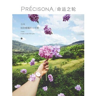 PRECISONA PA3101 女士石英手表