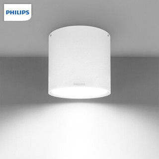 飞利浦PHILIPS LED明装筒灯 DN003C/LED10/12W/NW 中性光 直径175mm 2只装