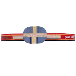红双喜（DHS）乒乓球拍R4002C碳素横拍双面反胶乒乓球板