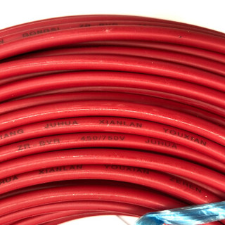 菊花 电线电缆ZR-BV6平方 阻燃单芯单股铜线 家装家用铜芯电线 100米 红色火线