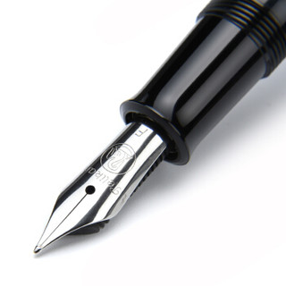 百利金（Pelikan）M205 德国进口树脂笔身 钢笔墨水笔-蓝色大理石F
