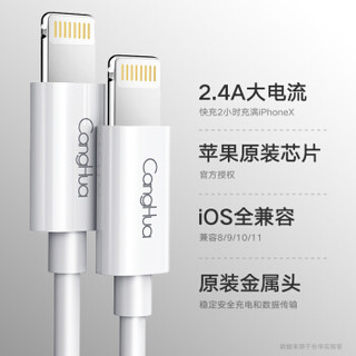 CangHua 仓华 苹果官方MFI认证 2米 苹果数据线Xs Max/XR/X/8/7手机快充电器线USB电源线 支持iphone6s/7Plus/ipad 仓华r01