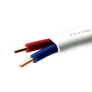齐鲁（QILU）电线电缆 ZC-BVVB2×4平方 国标铜芯 100米