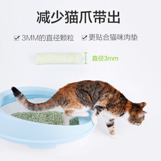 耐威克 绿茶豆腐猫砂6Lx6包 猫砂量贩装36L 清新绿茶味 强力除臭 猫咪用品