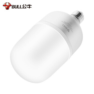 BULL/公牛 柱形灯 柱形灯 40W E27 白光 40W 白光