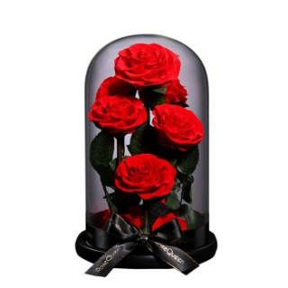 【rosequeen永生花】rosequeen 永生花玫瑰鲜花玻璃罩礼盒生日礼物送