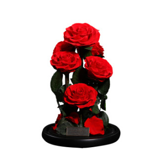 【rosequeen永生花】rosequeen 永生花玫瑰鲜花玻璃罩礼盒生日礼物送