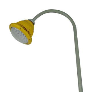 WZRLFB LED防爆泛光灯 RLB85-b 金黄色 50W