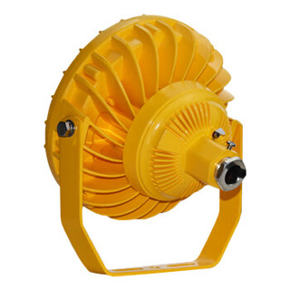 WZRLFB LED防爆泛光灯 RLB156-c 金黄色 20W