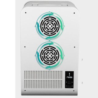 泰澄(TAI CHENG)22L双核数显车载冰箱车家两用便携迷你小冰箱12V/220V冷暖箱